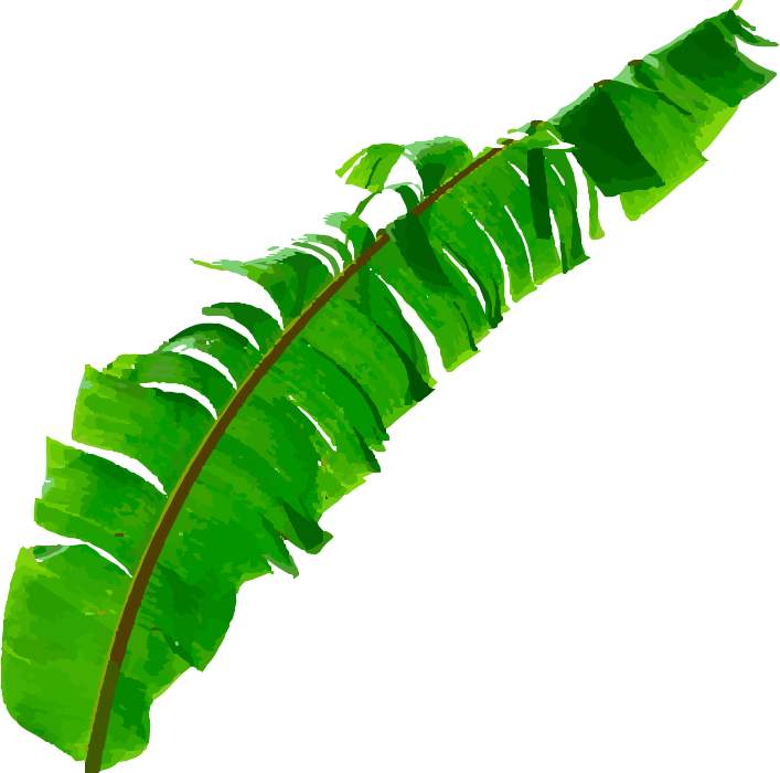 big_banana_leaf-left